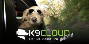 k9 cloud blog for dog trainers