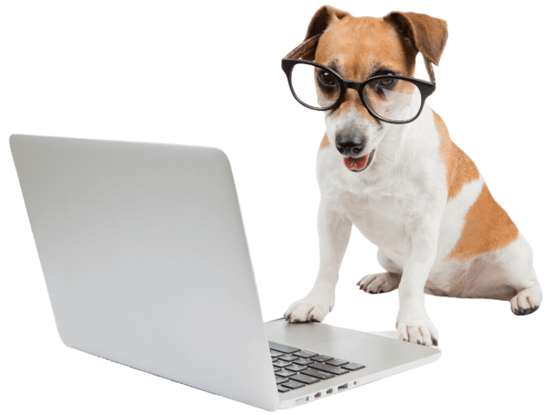 K9 Cloud Digital Marketing Agency for Dog Trainers